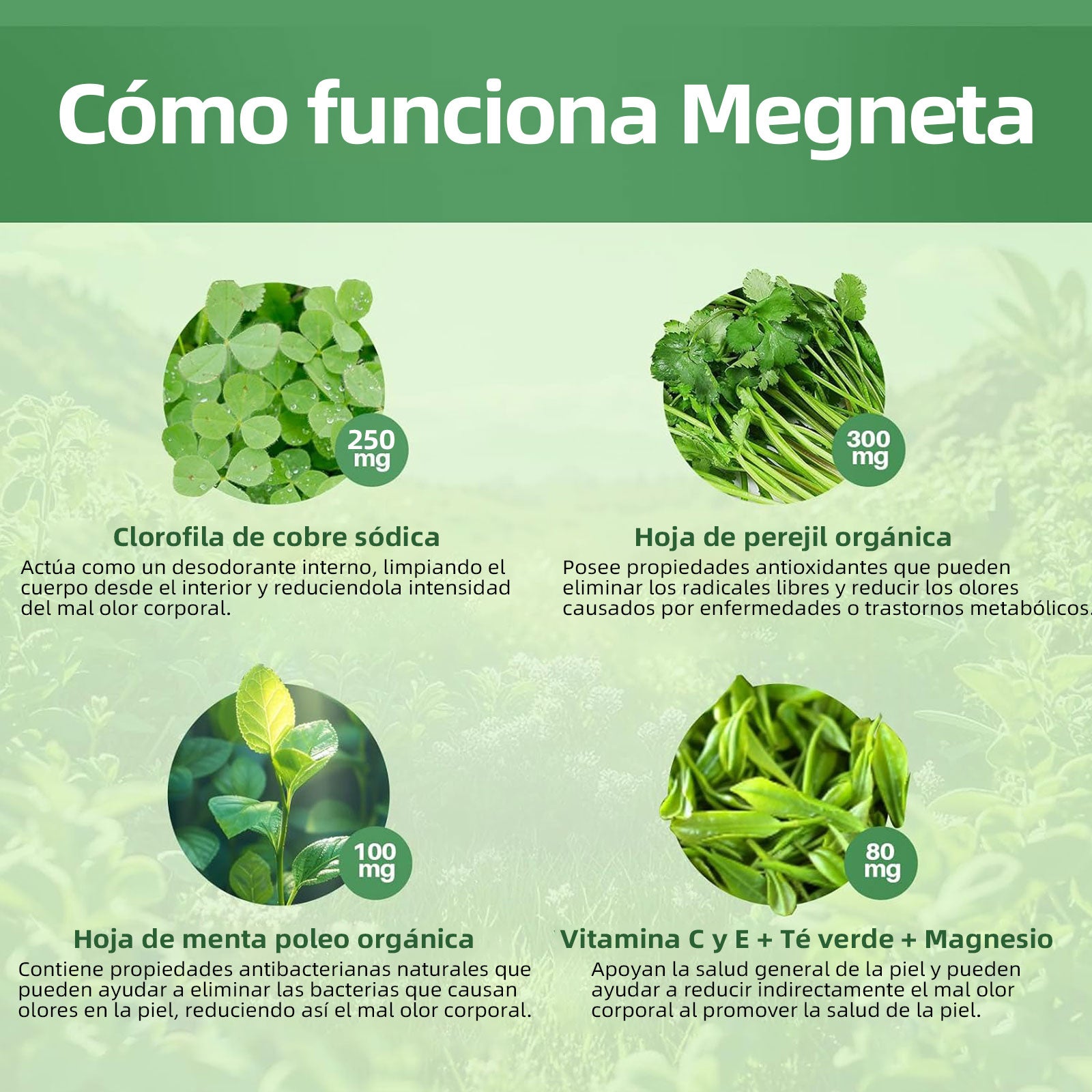 Mvpcare Clorofila Cápsulas