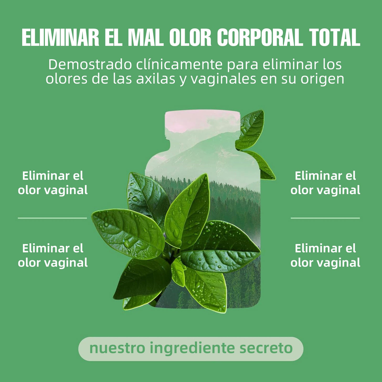 Mvpcare Clorofila Cápsulas