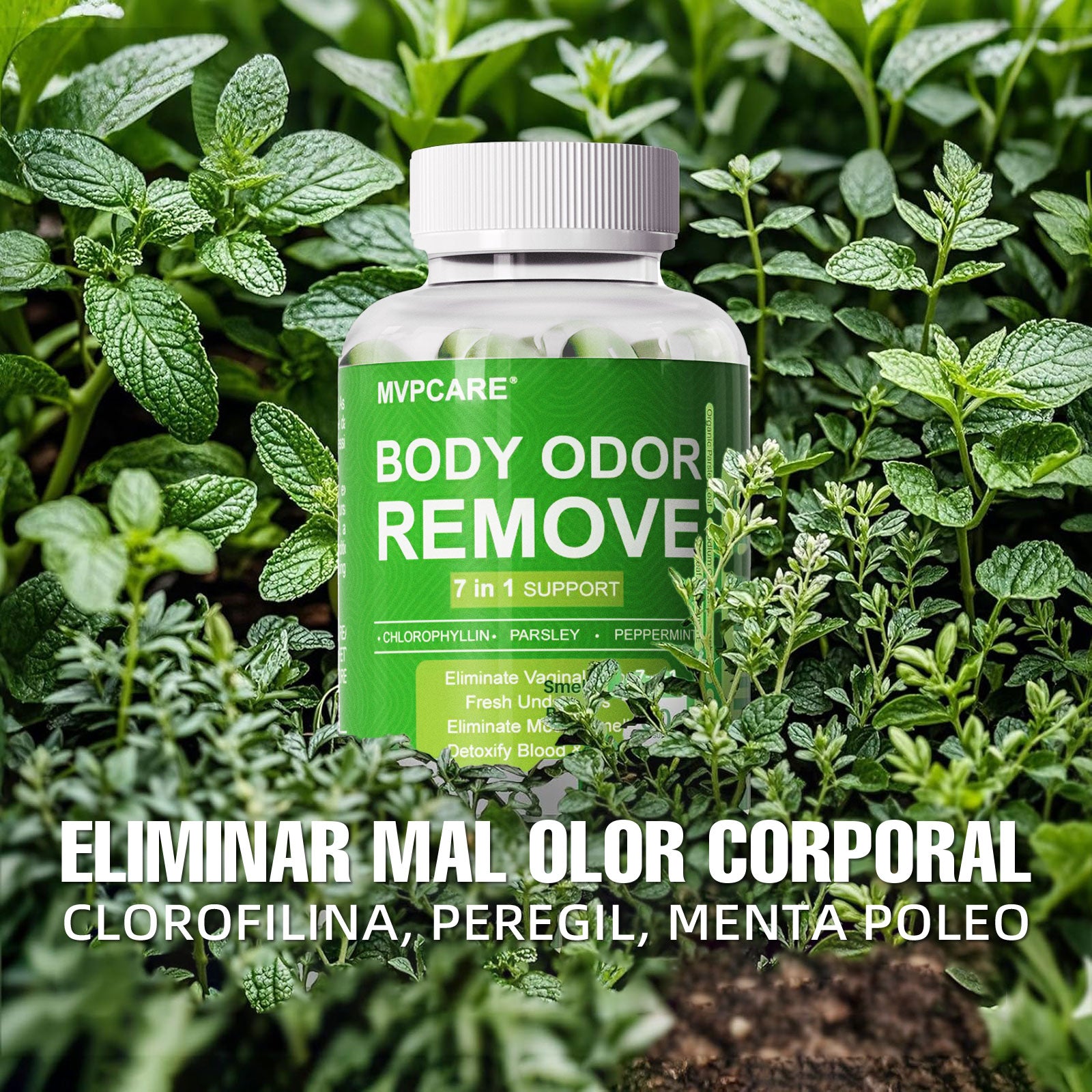 Mvpcare Clorofila Cápsulas