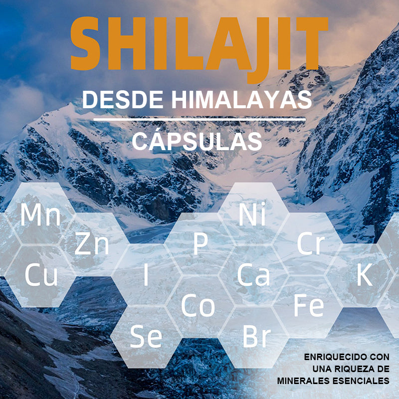 Gomitas Shilajit Cápsulas De Resina Charajiorgánica Pura Del Himalaya Ositos De Goma 60pcs Mvpcare Ssa