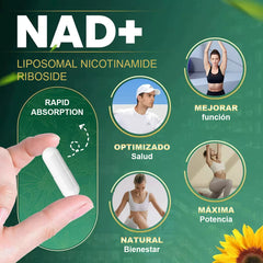Mvpcare Suplemento NAD+ | 900 mg